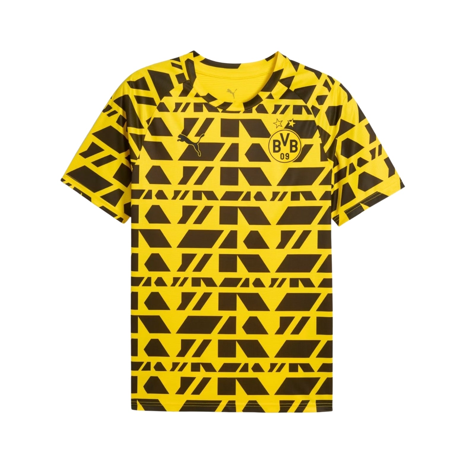 Borussia Dortmund Pré-Jogo 25/26