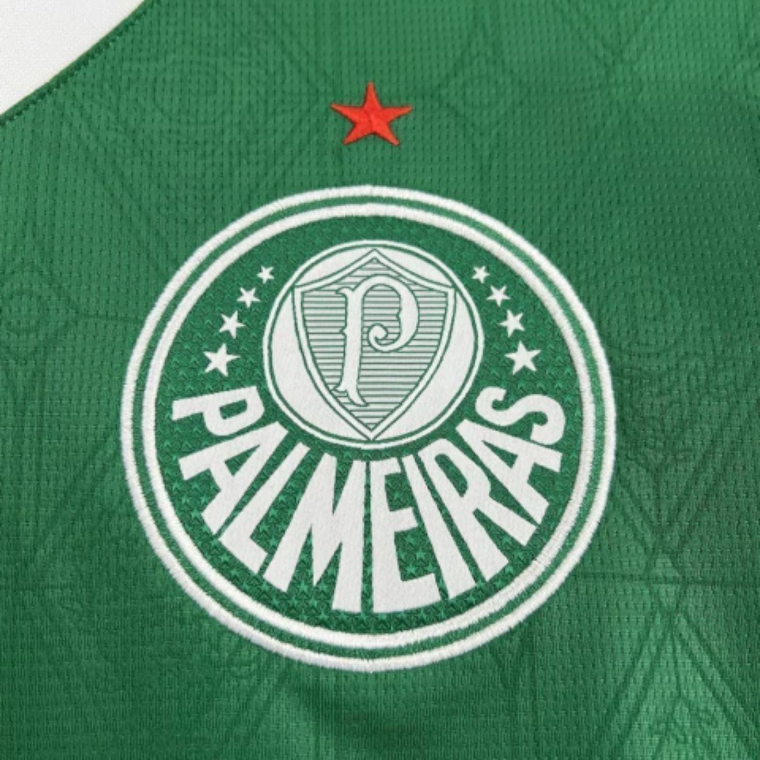 Palmeiras Principal 25/26