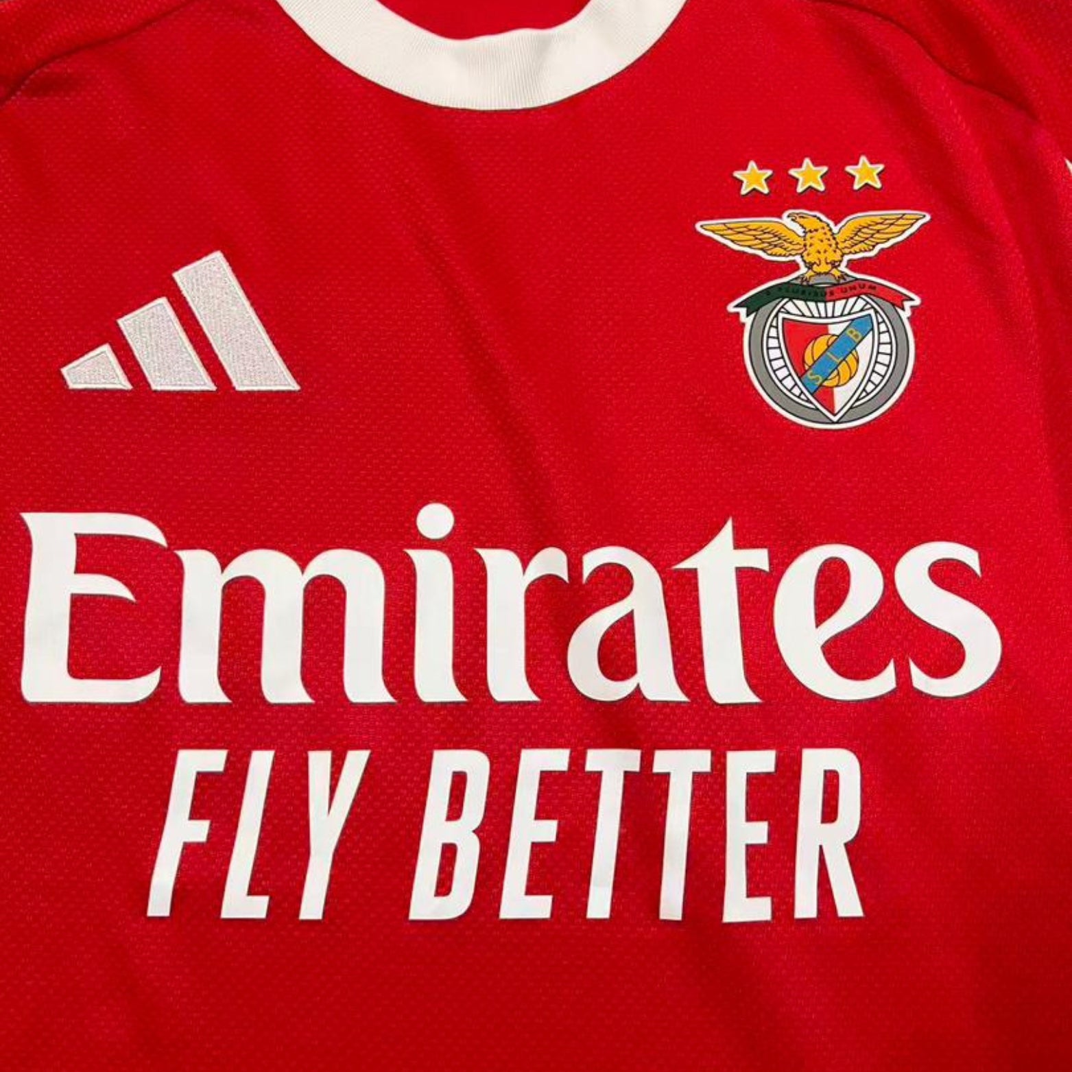 Benfica Principal 25/26