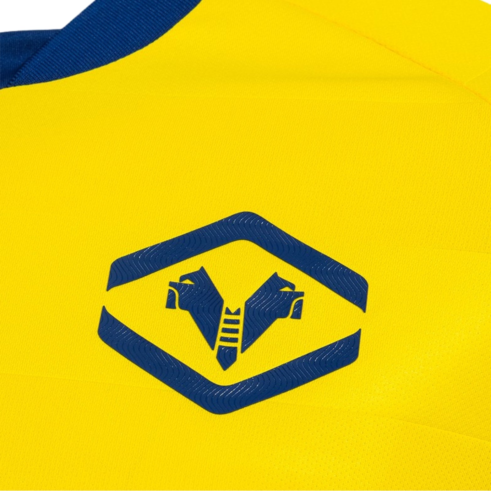 Hellas Verona Alternativa 25/26