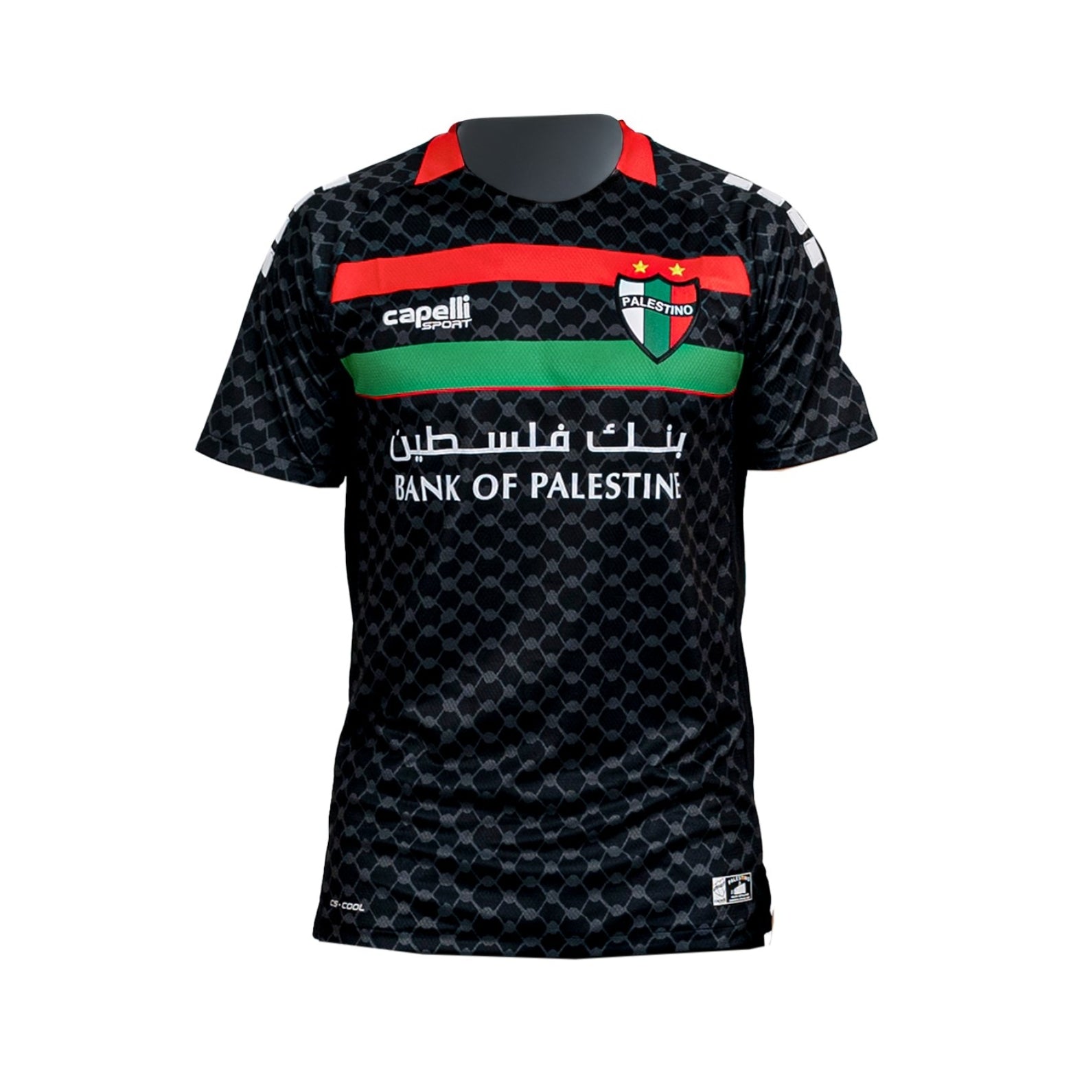 CD Palestino Alternativa 25/26
